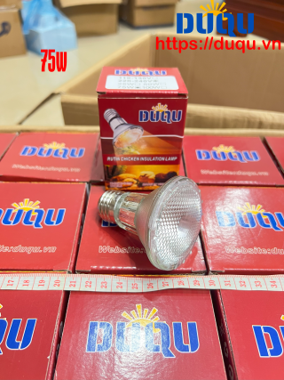 Đèn Tia Nắng 75W 1